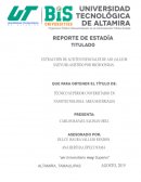 Extraccion de aceites esenciales de Ajo (Allium sativum) asistido por microondas