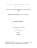 Importancia de la Innovación en la Gestión del Talento Humano: Organizaciones Empresariales en Colombia