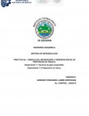 MATERIA DE MICROBIOLOGIA PRACTICA No. 1 MANEJO DEL MICROSCOPIO Y OBSERVACION DE UN PREPARADO EN PRESCO