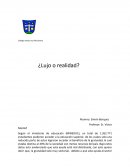 Ensayo clase media chile