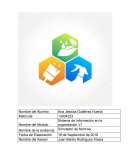 SISTEMA DE INFORMACION EN LA ORGANIZACION