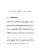 Controles operativos en sistemas