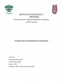 Proyecto final de fundamentos de programación