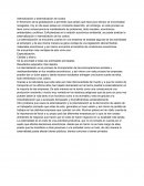 Internalización y externalización de costos