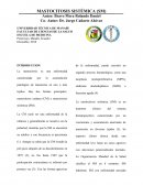 MASTOCITOSIS SISTÉMICA (SM)