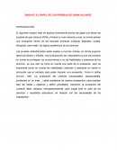 Ensayo el papel de las pruebas de gran alcance