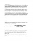 Produccion equivalente