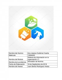 SISTEMA DE INFORMACION EN LA ORGANIZACION. Página 1