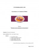 Síntesis “Sistemas de procesamiento de transacciones”