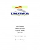 Avance 2 del Proyecto Final Planeación Estratégica