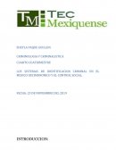 LOS SISTEMAS DE IDENTIFICACION CRIMINAL EN EL MEXICO DECIMONONICO Y EL CONTROL SOCIAL