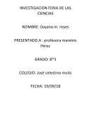 Investigacion trasmisiones sexulaes