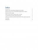 Especies más comercializadas ilegalmente en México