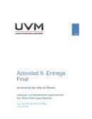 Finanzas ALMACENES SAN LUIS S.A DE C.V