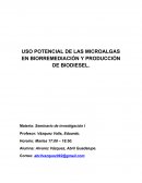 USO POTENCIAL DE LAS MICROALGAS EN BIORREMEDIACIÓN Y PRODUCCIÓN DE BIODIESEL