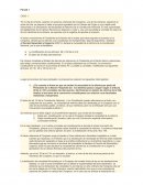 PARCIAL 1 DERECHO CONSTITUCIONAL UBP