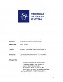 CASO NIRVANA ORGANIZACION Y PROCESOS