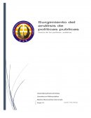 Surgimiento del analisis de politicas publicas