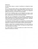 Identificación de obligaciones fiscales periódicas