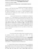 Juicio de nulidad apelacion