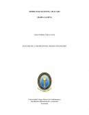 ANALISIS DE LA MEDICIÓN DEL RIESGO FINANCIERO