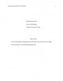 Delincuencia Juvenil