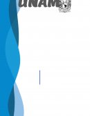 El comienzo de las relaciones sociales: la madre