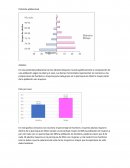 Pirámide poblacional