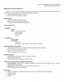 ENFERMEDAD VASCULAR CEREBRAL EVC