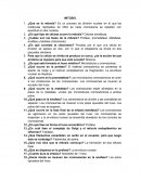 Preguntas sobre mitosis