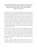 REFLEXIONES SOBRE LAS PROBLEMATICAS AMBIENTALES PRESENTADAS EN EL RÍO ZULIA NORTE DE SANTANDER EN EL MARCO DE LAS POLÍTICAS AMBIENTALES Y LEY 99 DE 1993: EFECTOS EN LA RELACIÓN MEDIO AMBIENTE – SER HUMANO