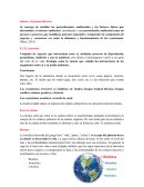 Desarrollo sustentable, perturbaciones ambientales y los factores físicos que determinan el entorno ambiental
