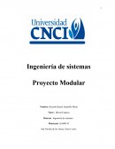 Ingenieria de sistemas proyecto modular