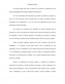 INVESTIGACION DE OPERACIONES Don Packing SA