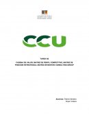 CADENA DE VALOR, MATRIZ DE PERFIL COMPETITIVO, MATRIZ DE POSICION ESTRATEGICA, MATRIZ DE BOSTON CONSULTING GROUP