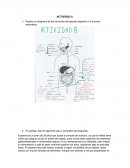 Actividad de nutrición