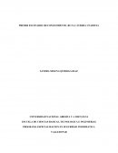 PROGRAMA ESPECIALIZACION EN SEGURIDAD INFORMATICA