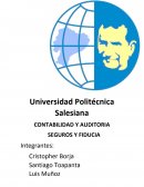 CONTABILIDAD Y AUDITORIA SEGUROS Y FIDUCIA