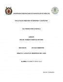 Caracteristicas biologicas del ajolote