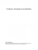 Sorteando la incertidumbre