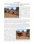 ASOCIACION DE PRODUCTORES AGROPECUARIOS SANTA ROSA UNIDA DE CHUCUNA DE ACOSTAMBO -APASRUCA