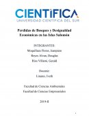 Perdidas de Bosques y Desigualdad Económicas en las Islas Salomón