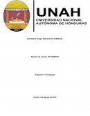 Impacto del Programa de Alfabetización establecido por la Secretaría de Educación en los índices de analfabetismo