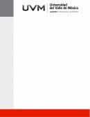 SÍNTESIS: RESPONSABILIDAD, OBJETIVOS Y EVIDENCIA DE LA AUDITORÍA