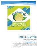 Sector Master. Plan del proyecto para implementación del sistema de gestión de calidad