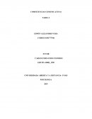 COMPETENCIAS COMUNICATIVAS TAREA 3