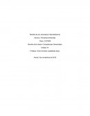 Ensayo competencias gerenciales