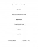 Electiva tecnológica de periodismo digital