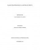 Plan de recuperacion de credito y cartera