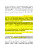 ¿Cómo ha influido la globalización en la sociedad, economía y política del Ecuador?